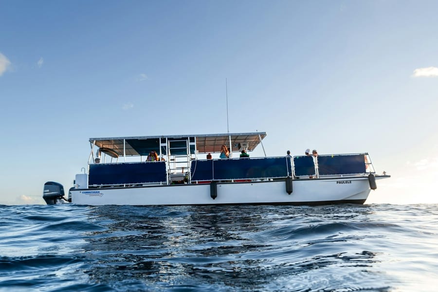Turtle Canyon: Snorkel Tour, at Snorkeling in Honolulu, Honolulu
