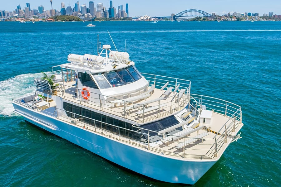 Hành trình ngắm cá voi tại Sydney, Sydney