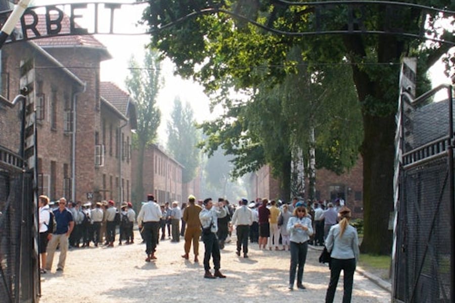 Auschwitz-Birkenau: Guided Tour + Transport + Lunch