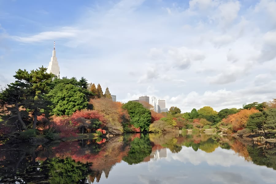Admission Tickets to Shinjuku Gyoen National Garden, at Shinjuku Gyoen National Garden