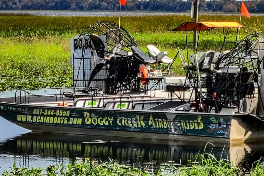 Kissimmee: 1-Hr Boggy Creek Everglades Airboat Tour, Kissimmee