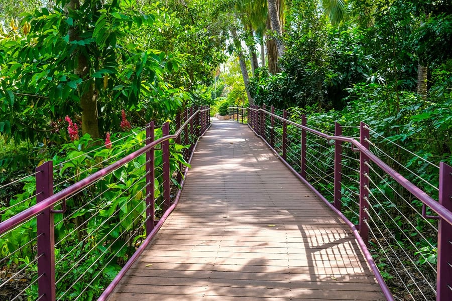Combo: Darwin Hop-On Hop-Off Bus Tour + Royal Flying Doctor Service + Crocosaurus Cove Tickets, Darwin