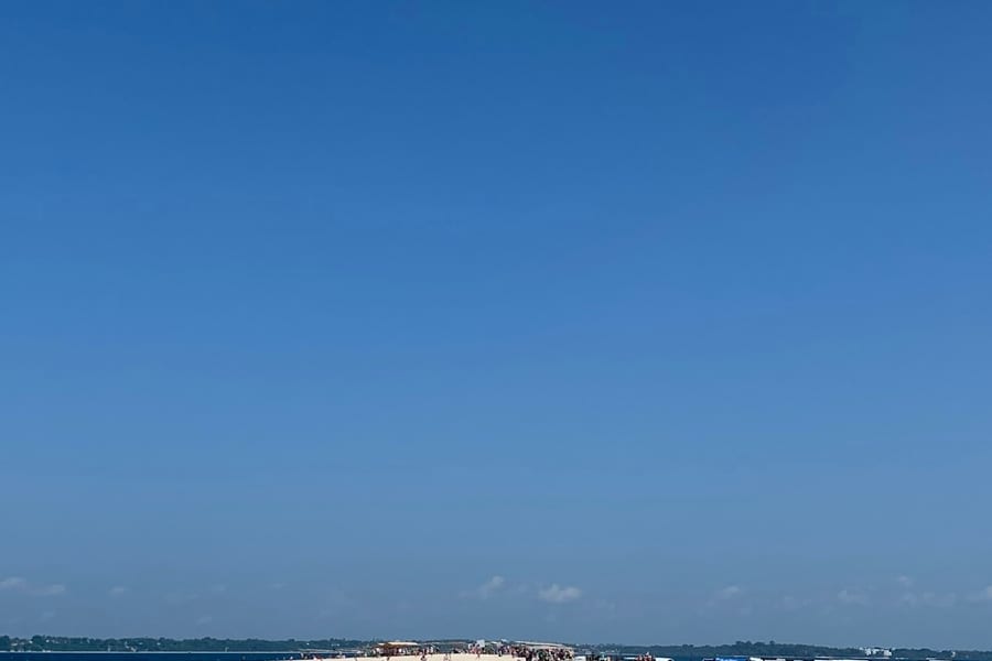 Zanzibar: Swimming with Dolphins Day Trip, Zanzibar