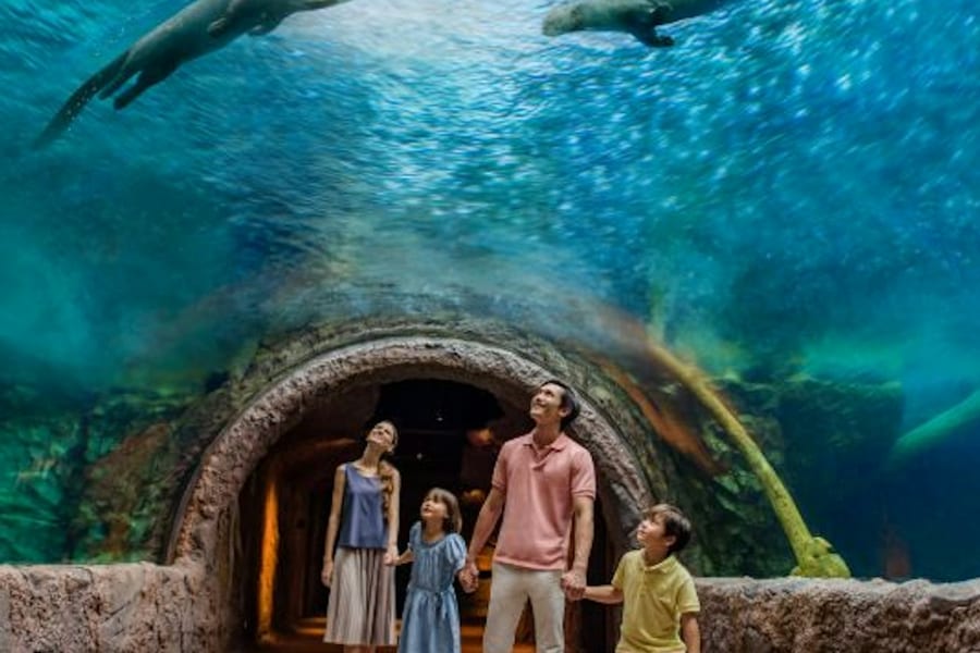 Singapore River Wonders: Entry Ticket, at Singapore River Wonders