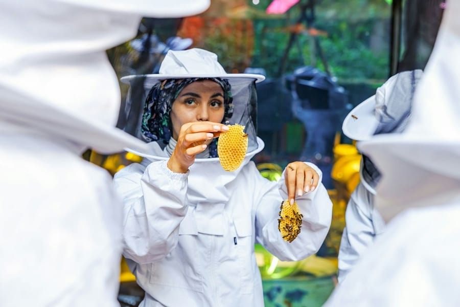 Expo City: Beeking Experience at Terra Tickets, at Expo City