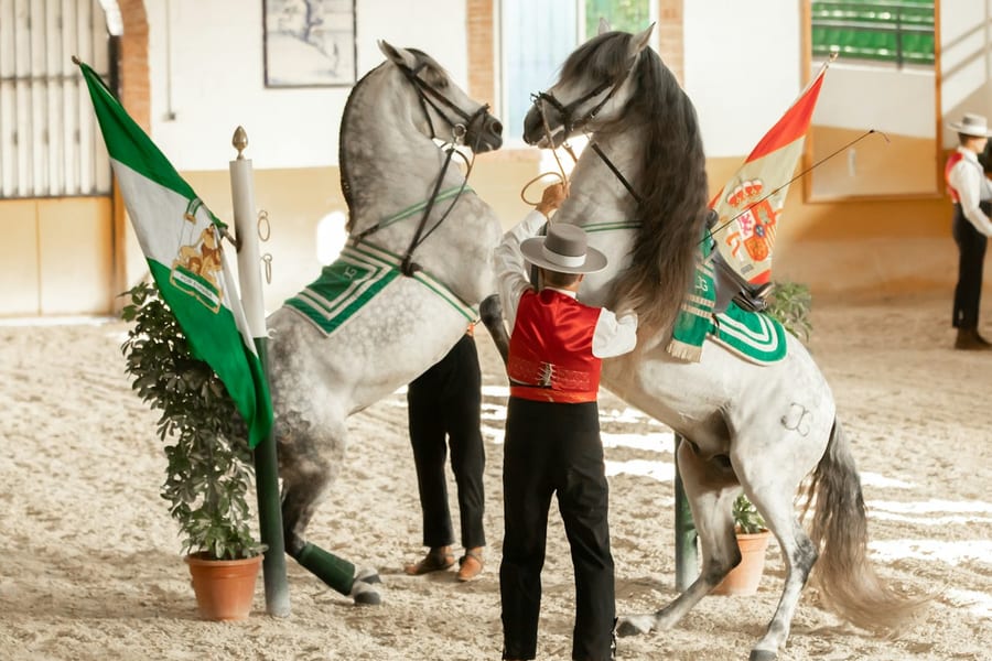 Club Hipico El Ranchito: Andalusian Horse and Flamenco Show, at Malaga Flamenco Shows