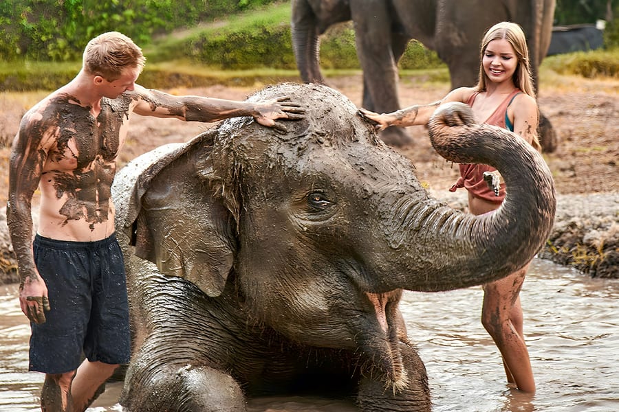 Mga Tiket sa Bali Zoo na may Pagpapakain ng Elepante at Paliguan sa Putik, at Bali Zoo, Bali