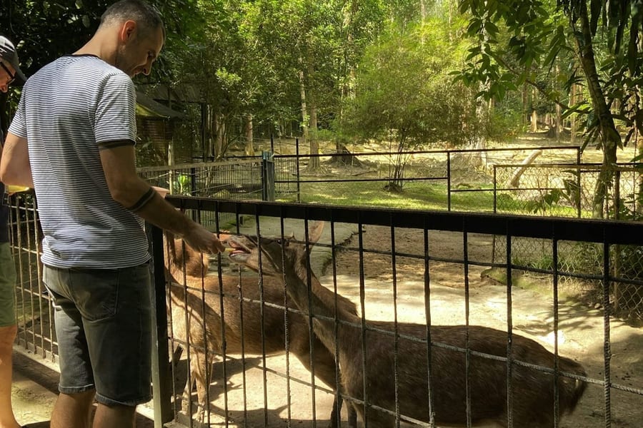 Kuala Gandah Elephant Sanctuary: Lunch + Transfers, at Kuala Gandah Elephant Sanctuary