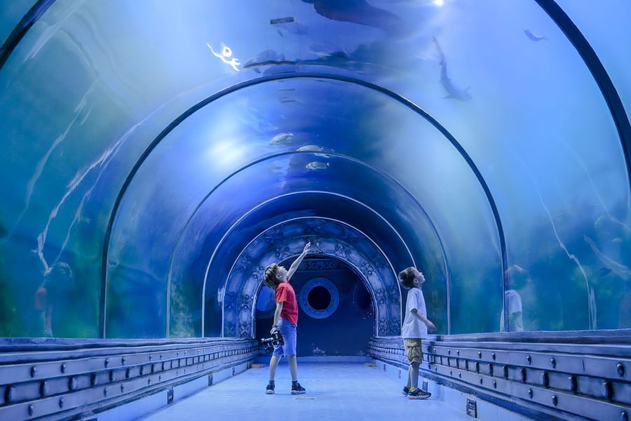 Hurghada Grand Aquarium Entry Tickets, at Hurghada Grand Aquarium, Hurghada