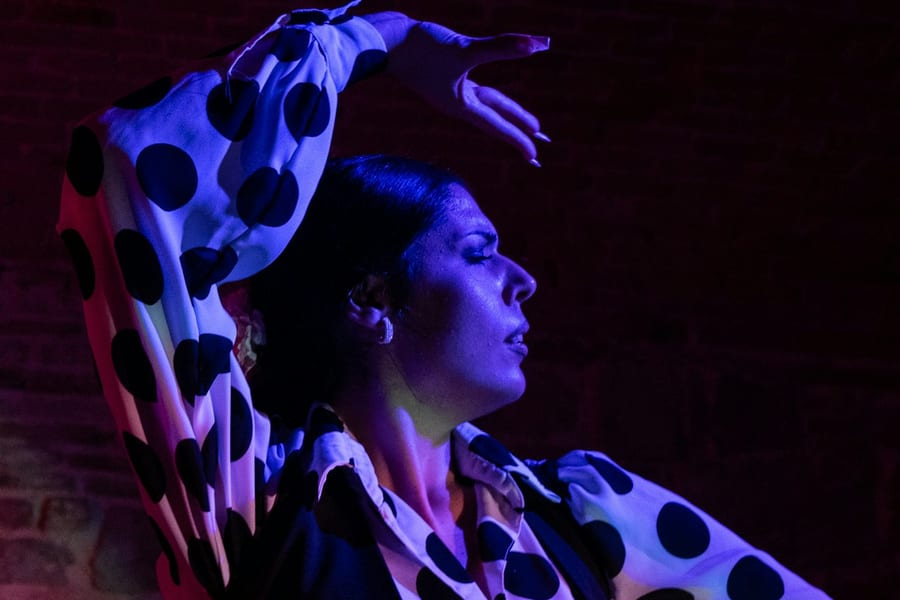 Las Brujas Flamenco: Flamenco Show, at Las Brujas Flamenco Club