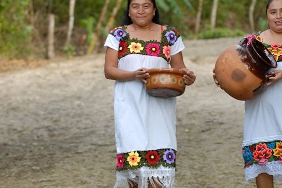 Cobá Ruins, Punta Laguna & Cenote: Guided Tour, Transfer from Tulum + Lunch, Coba