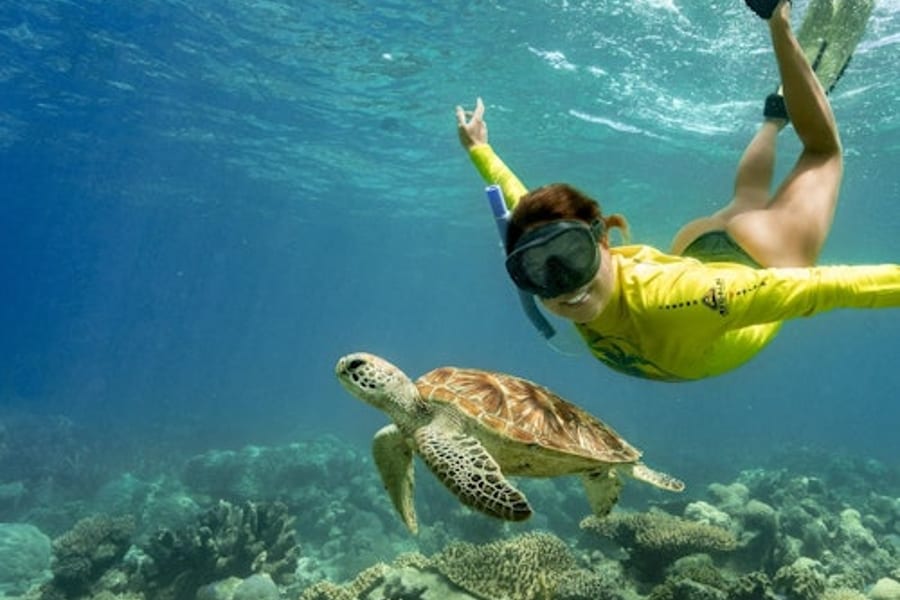 Ocean Safari Great Barrier Reef Tour from Cape Tribulation, at Port Douglas Cruises Boat Tours, Cairns
