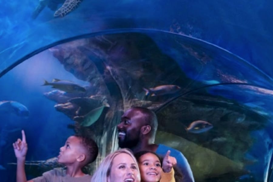 SEA LIFE Arizona: Entry Ticket, at SEA LIFE Arizona