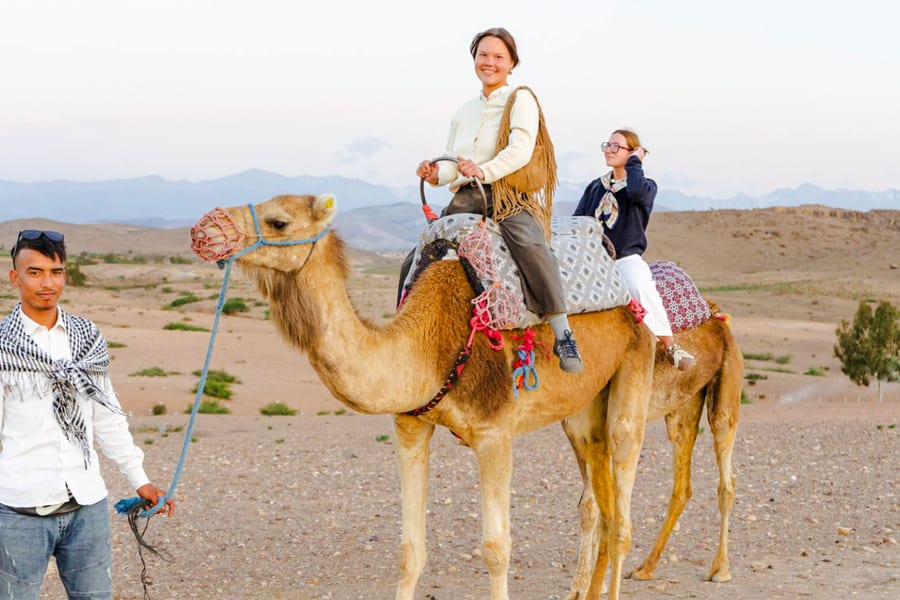 Sunset Desert Tour with Camel Ride, Dinner Show & Transfers, Marrakesh