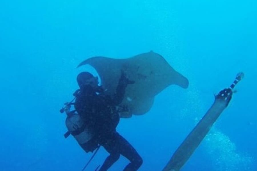 Los Cristianos: Guided Diving Class, Tenerife