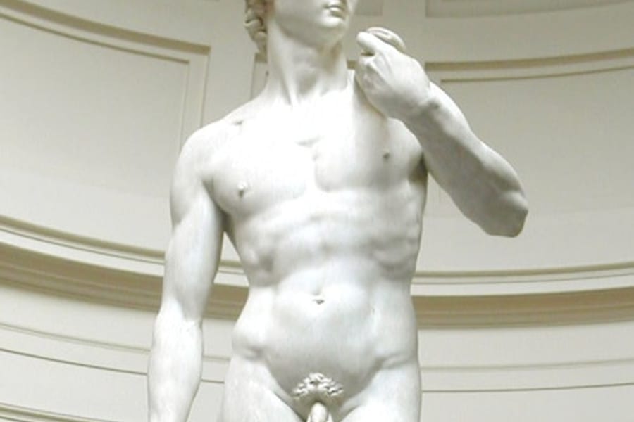 Accademia Gallery: Priority Entry Ticket + Official Audio Guide, at Accademia Gallery