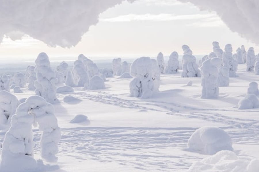 Hike in Riisitunturi National Park, Rovaniemi