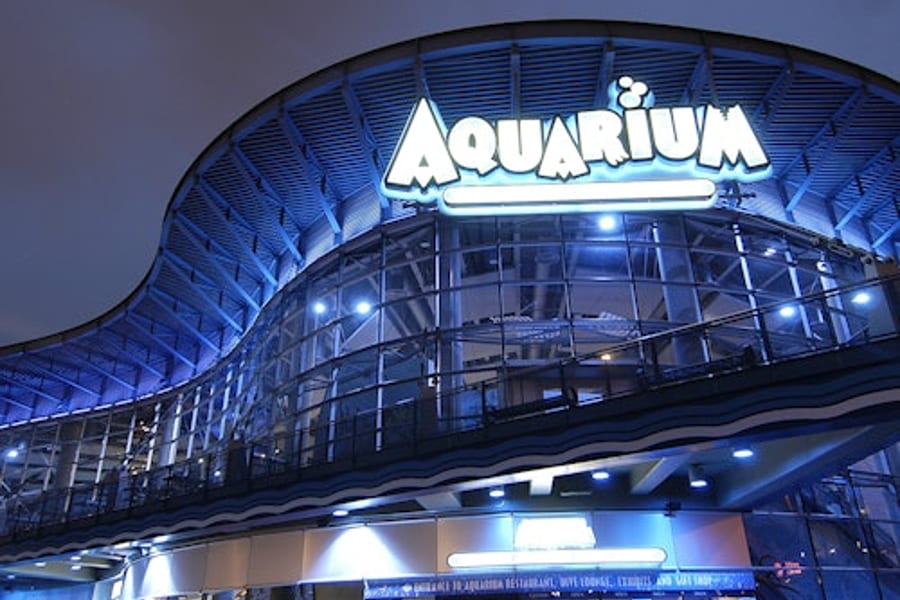 Acuario Bioparc Gijón: Boleto de Entrada, Denver