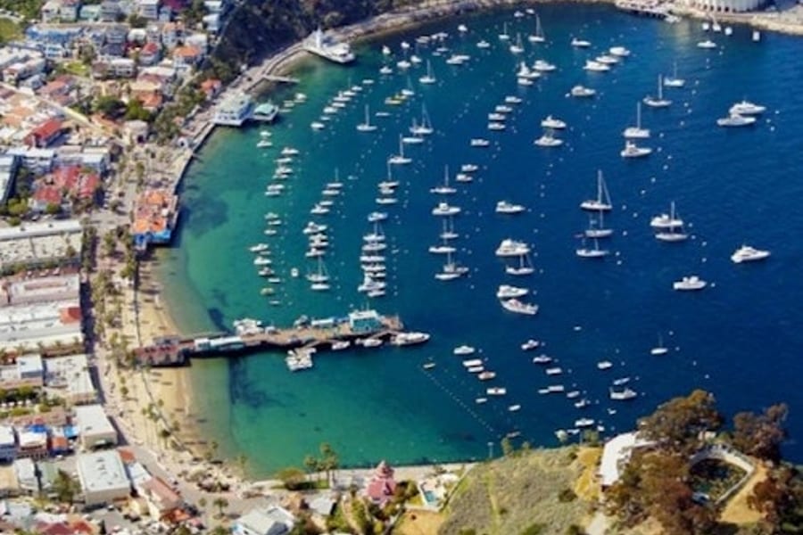 Illa de Catalina: Excursió d'un dia + Tour panoràmic en cotxe, at Catalina Island Day Trips, Los Angeles