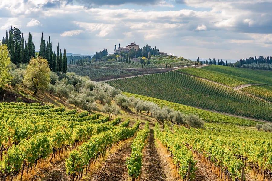 3-Oras na Gabay na E-Bike Tour ng Chianti na may Pagtikim ng Alak, Florence