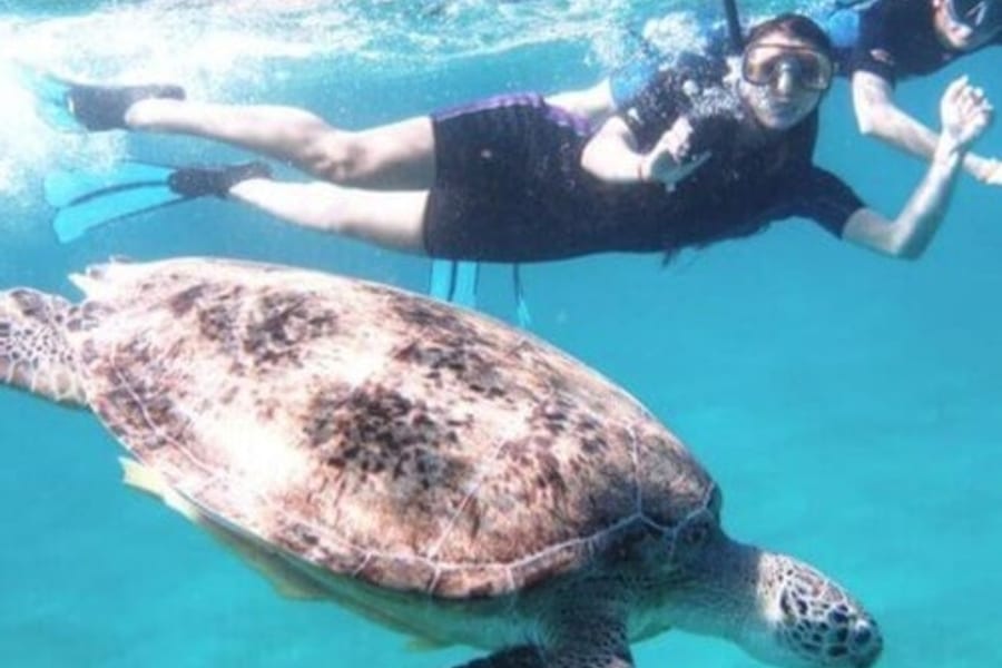Spiaggia di Abu Dabbab, Marsa Alam