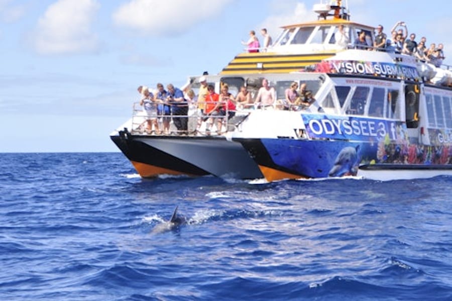 Morro Jable: Glass-Bottom Boat Tour + Lunch, Morro Jable