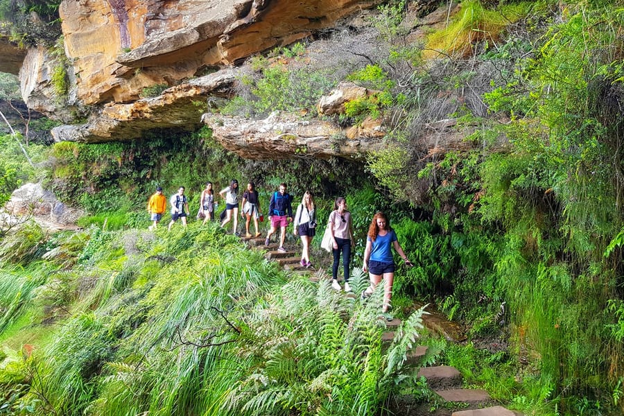Tour Đi Bộ Khám Phá Núi Xanh Ngoài Những Con Đường Chính, Các Điểm Ngắm Cảnh Bí Mật & Bữa Trưa BBQ, Sydney