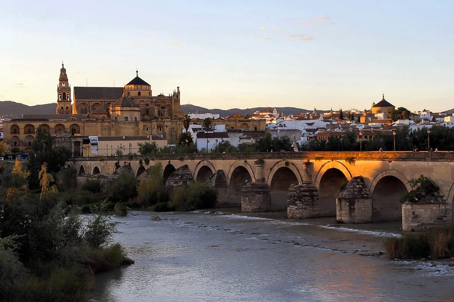 Całodniowa wycieczka z przewodnikiem dla małej grupy po Kordobie z Sewilli, Seville