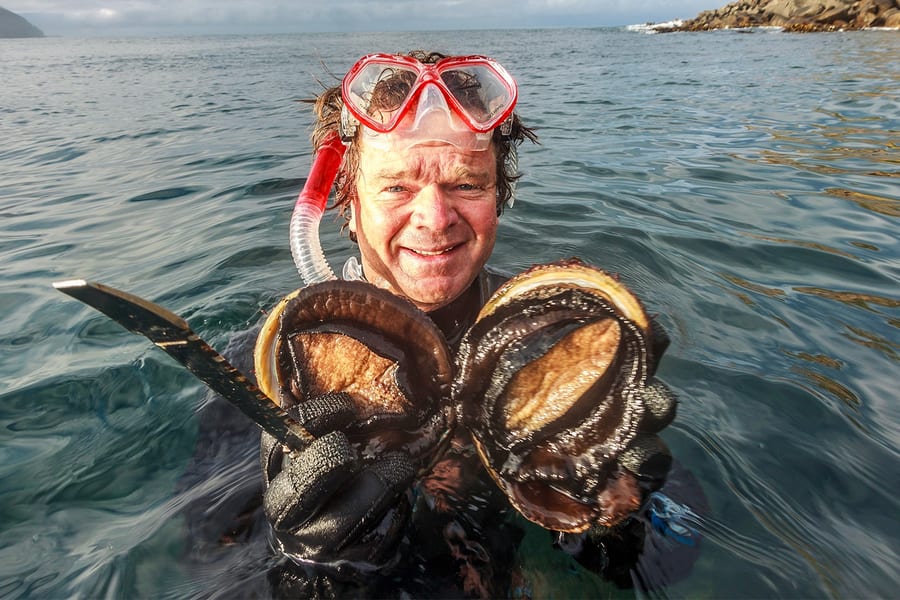 Full-Day Guided Cruise Tour in Tasmania with Seafood Lunch, Hobart