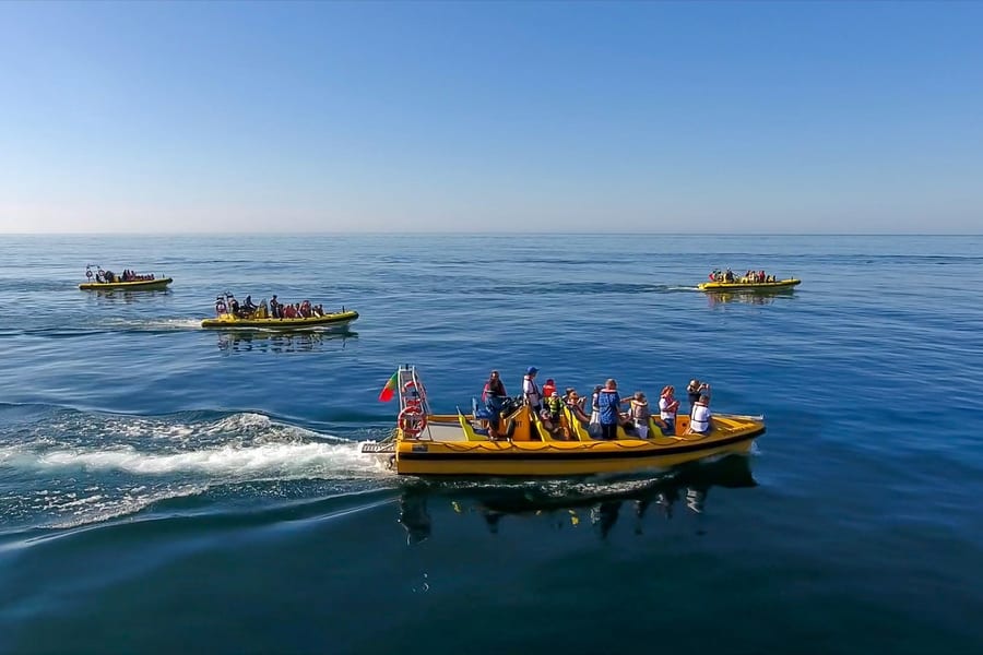 Creuer guiat de 2 hores per veure dofins i explorar coves a l'Algarve, Albufeira