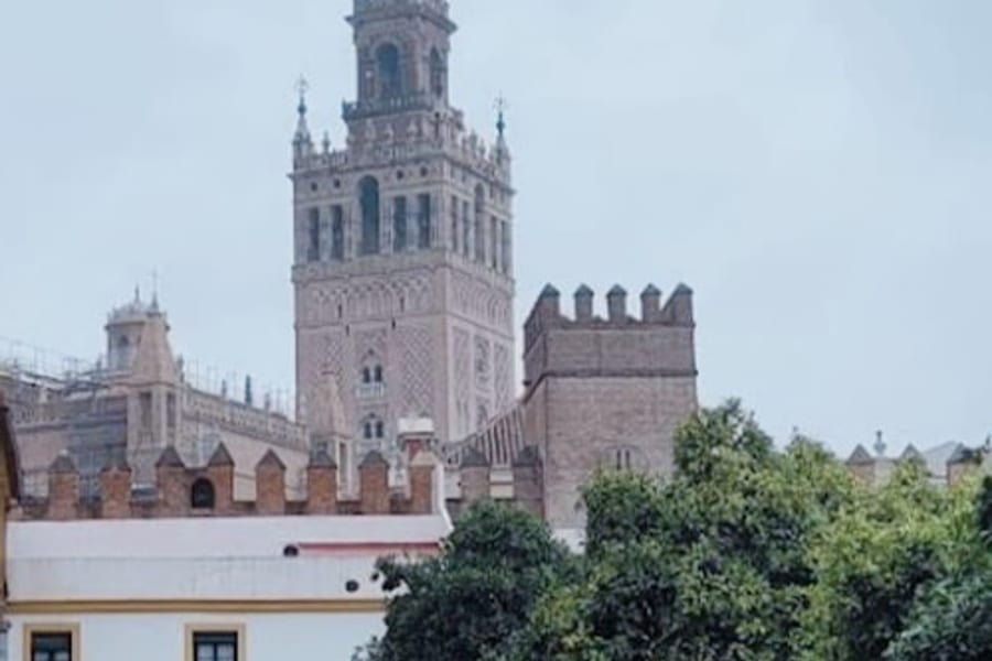 সান্তা ক্রুজ সেভিল: গাইডেড হাঁটার ট্যুর, at Seville City Tours, Seville