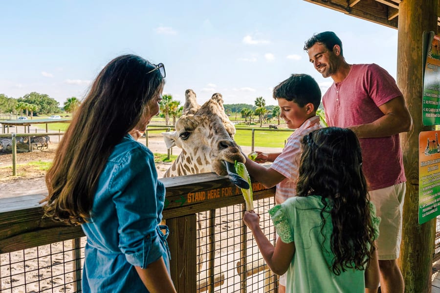 Orlando: Wild Florida Drive‑Thru Safari Park, at Wild Florida Drive-Thru Safari Park, Orlando