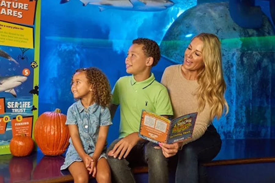 SEA LIFE Aquarium at American Dream: General Admission, East Rutherford