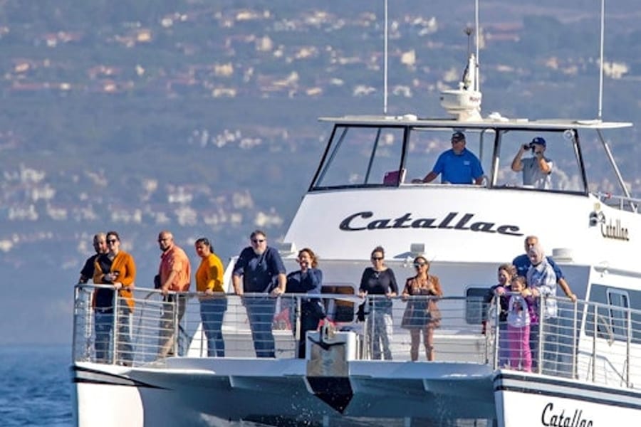 Los Angeles: Tour di Lusso per l'Osservazione delle Balene, at Los Angeles Whale Watching Tours, Los Angeles