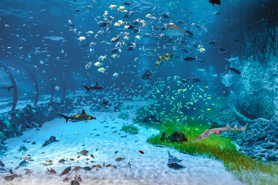 Kumbinasyon: Pambansang Aquarium Abu Dhabi + Mga Atraksiyon sa Al Qana, Abu Dhabi
