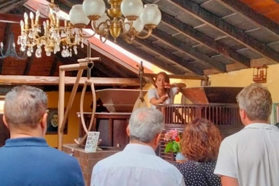 La Orotava: Tour Guiado con Degustación de Gofio, at Tenerife Walking Tours, La Orotava