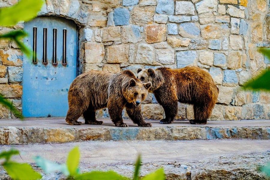 Bilety do Jardim Zoologico, at Jardim Zoologico, Lisbon and Sintra