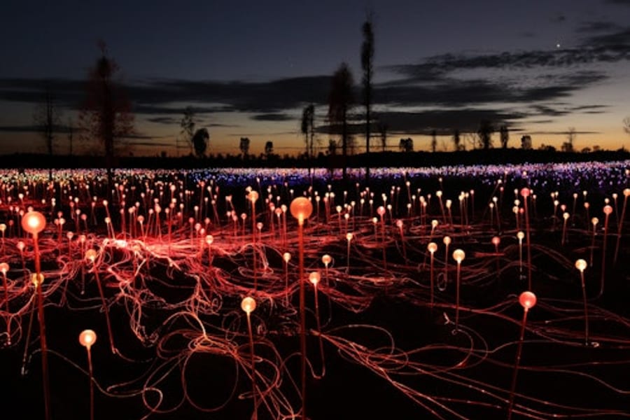 Field of Light Uluru: General Admission + Transfer, at Field of Light Uluru