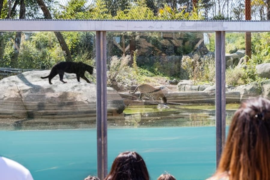 Parrot World: Passe Anual, at Parrot World, Crecy La Chapelle