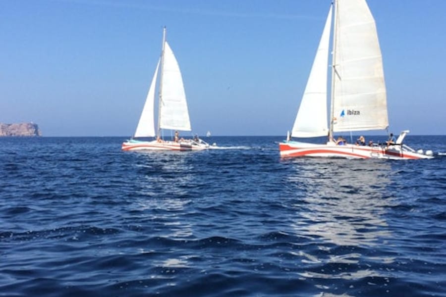 Bay of Fornells: Half-Day Catamaran Trip, Fornells