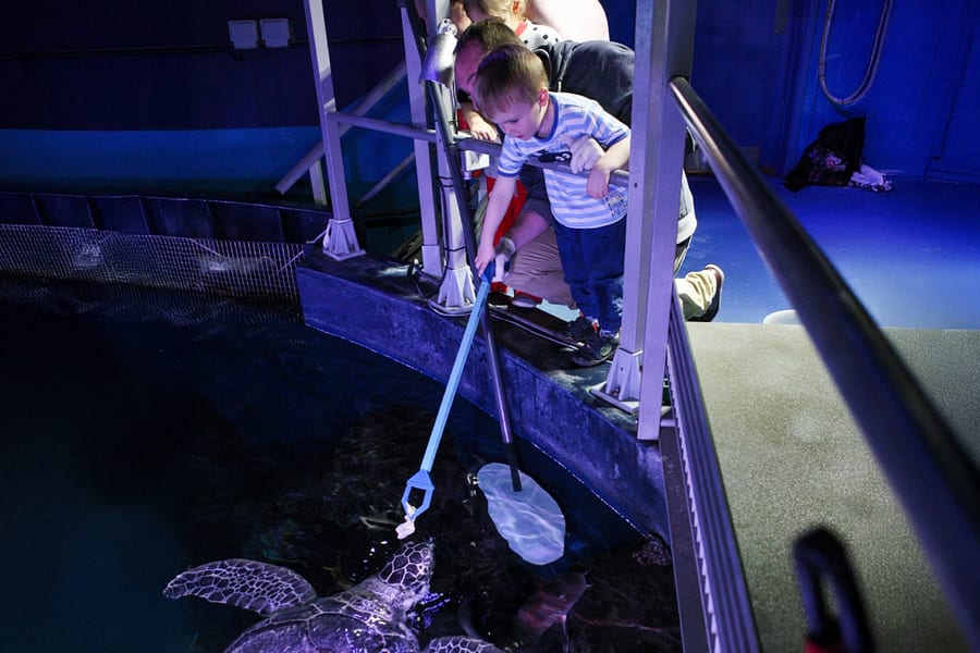 SEA LIFE London Aquarium Behind The Scenes Tour, at SEA LIFE London Aquarium