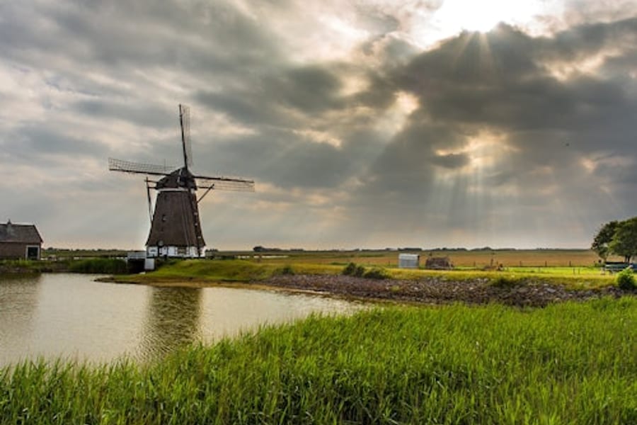 Lisse: Windmill Cruise from Warmond, Lisse