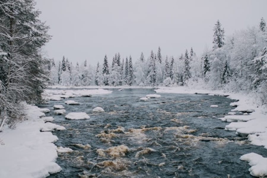 Hike in Vikakongas, Rovaniemi