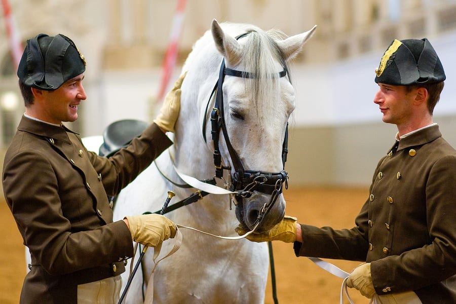 Spanish Riding School Lipizzaner Legends Guided Tour, at Spanish Riding School