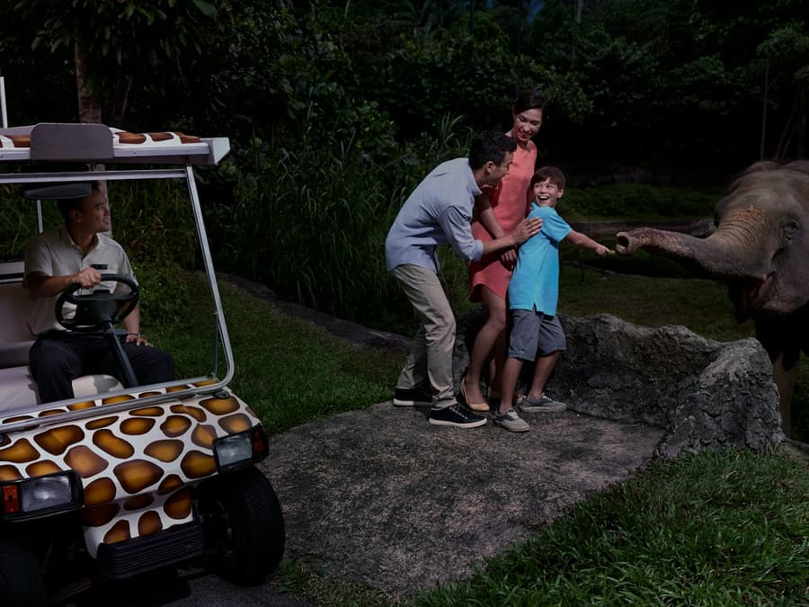 Singapore Night Safari: Entry Ticket + Roundtrip Transport