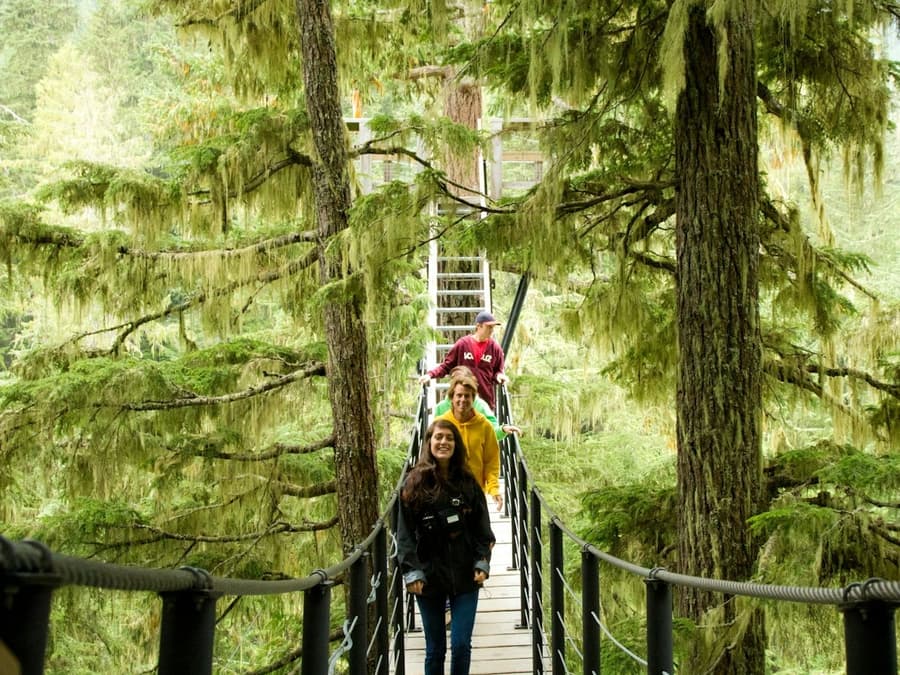 Whistler ZipTrek Ecotours: TreeTrek Adventure