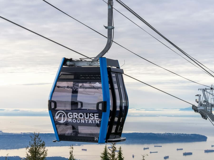 North Vancouver: Guided Tour with Entry to Grouse Mountain and MONOVA