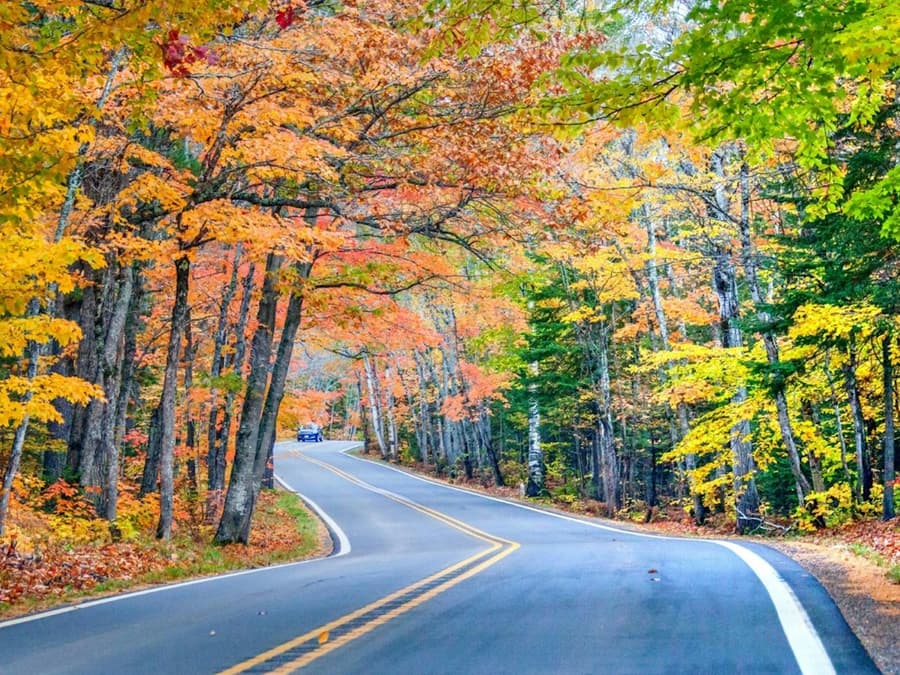 Big Cypress: Self-Guided Driving Tour