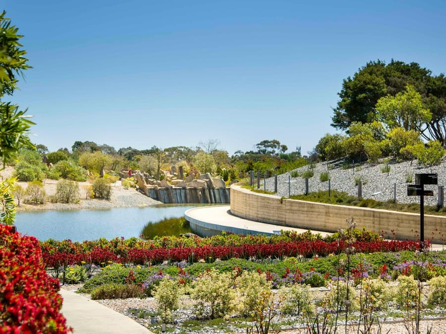 The Explorer - Cranbourne Gardens