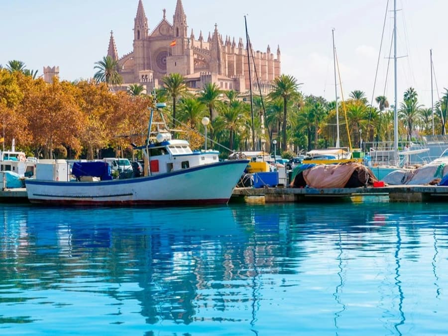 Palma de Mallorca: Boat Tour by City Sightseeing